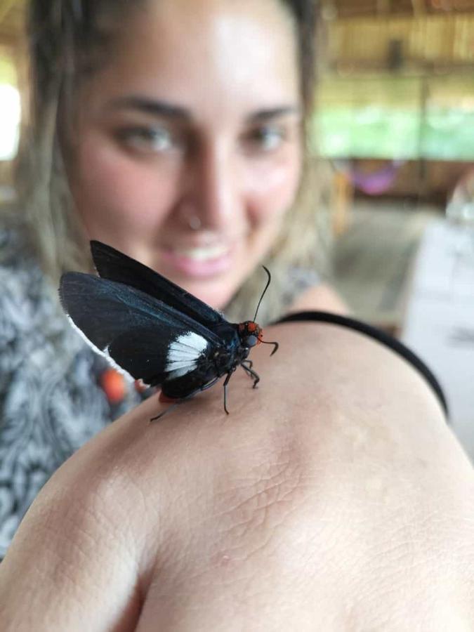 Intillama Jungle Eirl Lodge