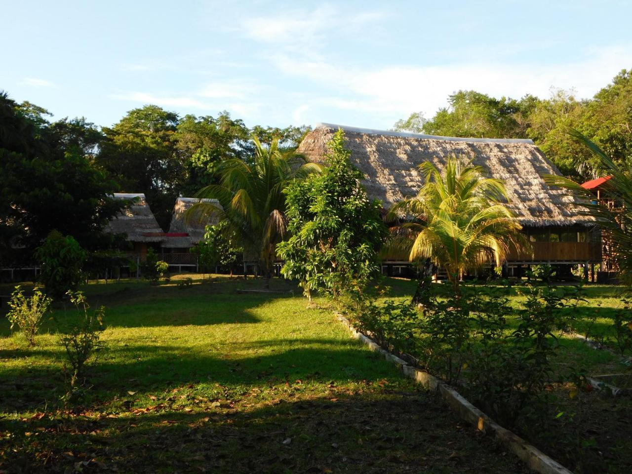 Intillama Jungle Eirl Lodge *